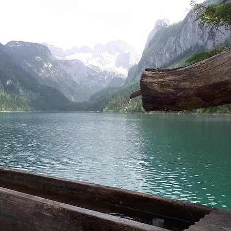 Apartman Transylvania & *