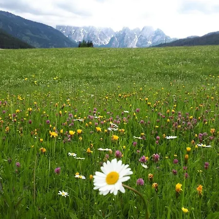 Apartamento Transylvania & Gosau