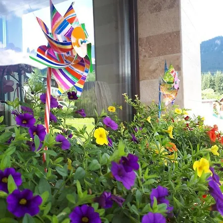 特兰西瓦尼亚公寓及spa 公寓