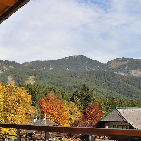 公寓 特兰西瓦尼亚公寓及spa