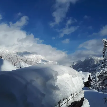 特兰西瓦尼亚公寓及spa