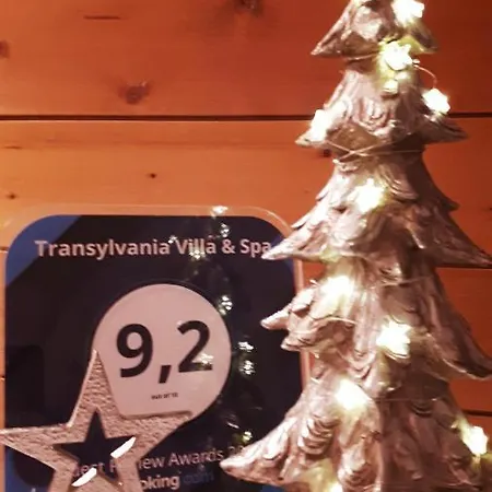 Apartman Transylvania & *