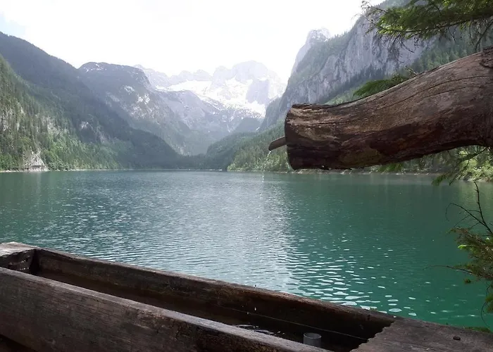 Apartamento Transylvania & *