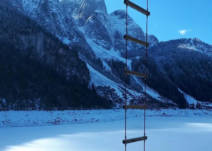 Transylvania & Διαμέρισμα