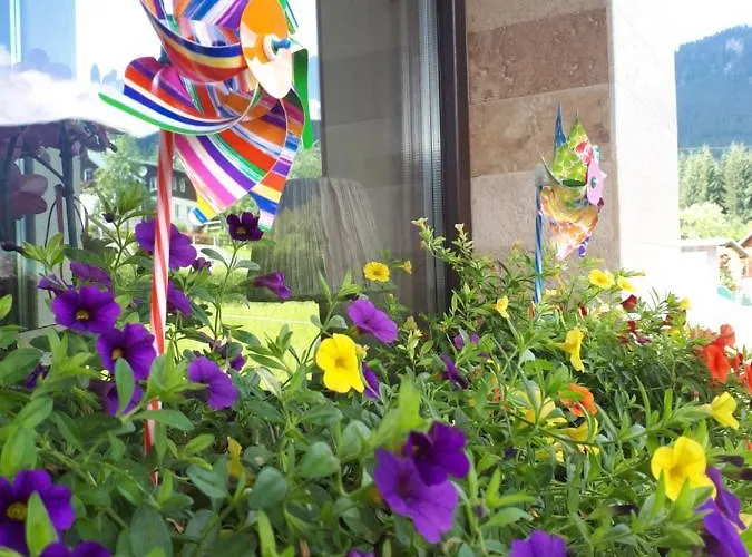 Transylvania & Διαμέρισμα