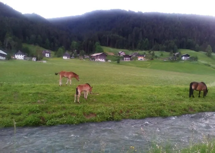 Transylvania & Διαμέρισμα Gosau
