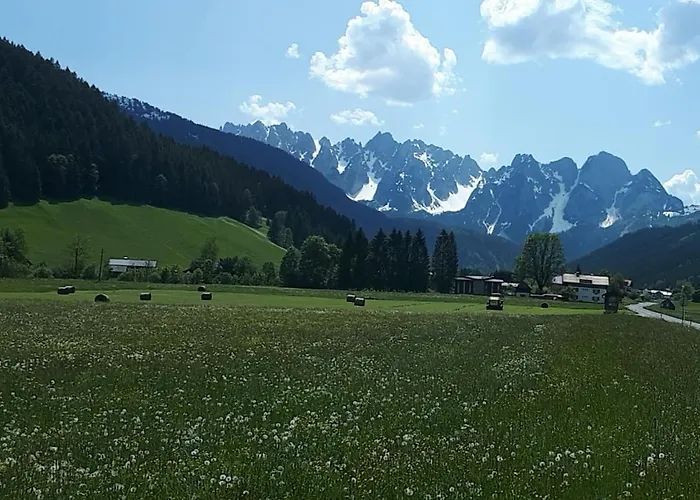 Transylvania & Lejlighed *