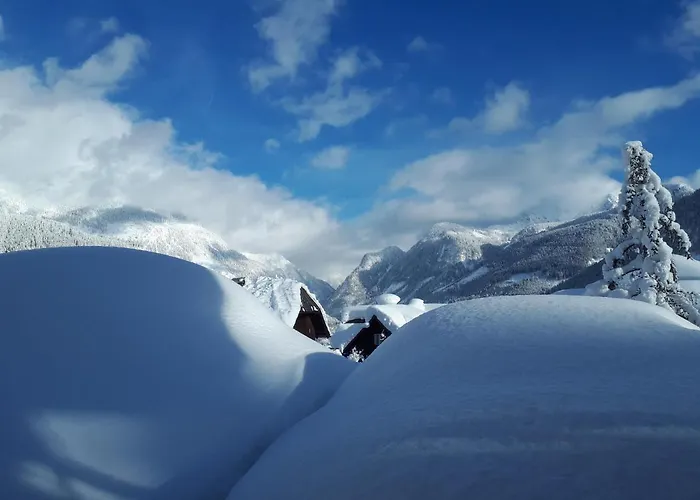 Transylvania & Lejlighed Gosau