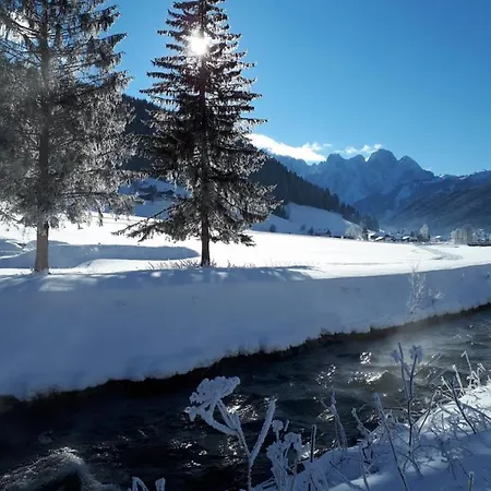 Apartment Transylvania & Gosau