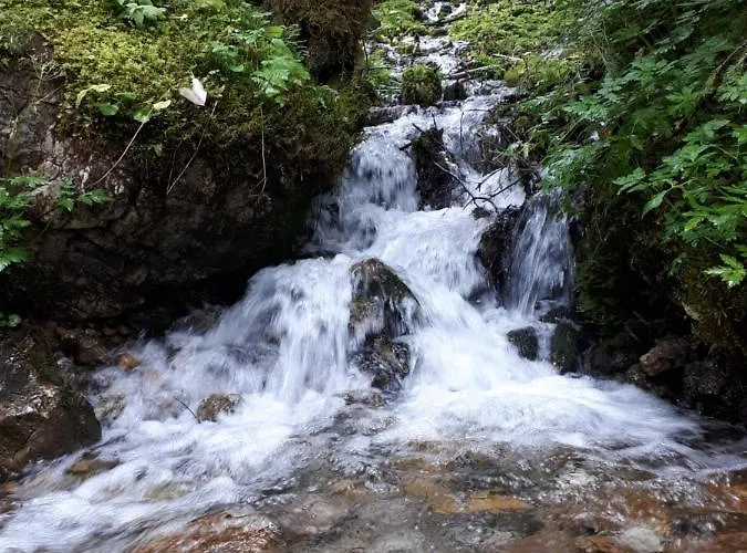 Transylvania & * Gosau