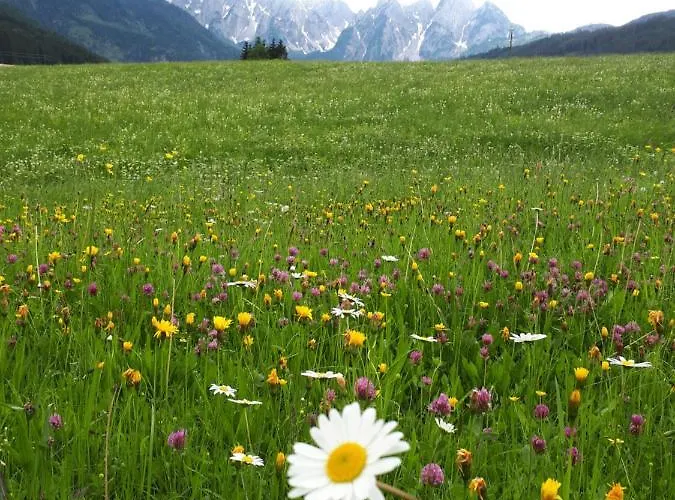 Apartman Transylvania & Gosau